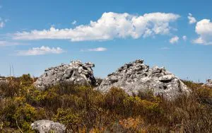 Table Mountain Summit, Cape Town