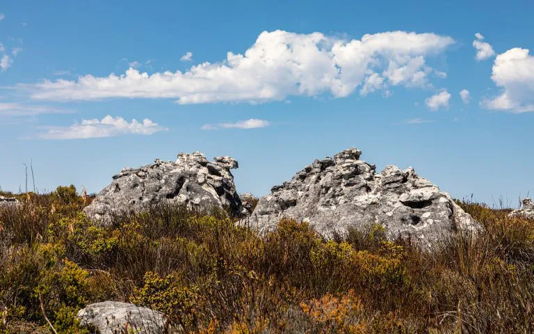 Cumbre de la Montaña de la Mesa, Ciudad del Cabo