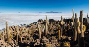 Isla Incahuasi, Salar de Uyuni