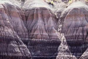 Blue Mesa Badlands, Petrified Forest