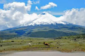 Cotopaxi Volcano, Ecuador