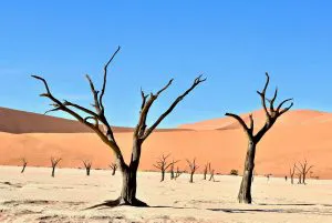 Deadvlei, Namibia