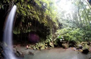 Emerald Pool, Dominica
