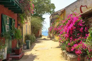Flower-Lined Street on Gorée Island