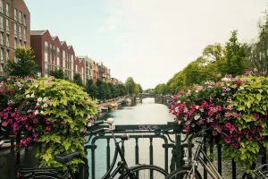 Flowers on a Canal Bridge, Amsterdam