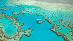 Heart Reef, Great Barrier Reef