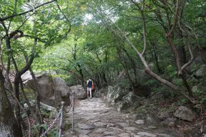 Hiking Trail in the Kumgang Mountains