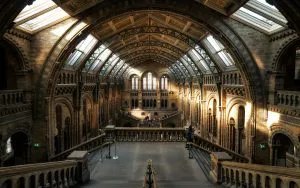 Hintze Hall, Natural History Museum, London