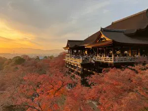Kiyomizu-dera in Autumn, Kyoto