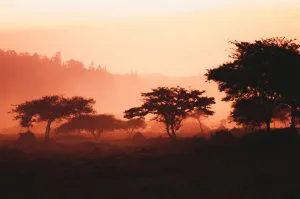 Misty Sunrise near Kigali, Rwanda