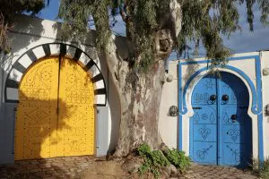 Painted Door in Sidi Bou Said