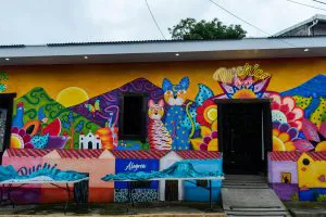 Painted Wall in Alegría, El Salvador