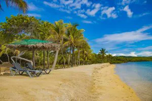 Palm-Fringed Beach, Roatán