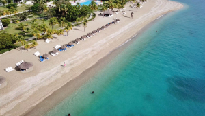 Palm-Lined Beach in Haiti