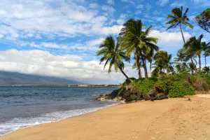 Palm-Lined Beach in Kīhei, Maui
