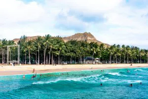 Palm Trees on Waikiki Beach
