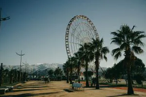 Palms and the Ferris Wheel, Batumi