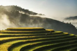 Rice Terraces of Mu Cang Chai