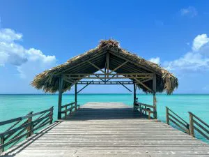 Thatched Jetty on Tobago