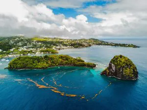 Young Island, Saint Vincent