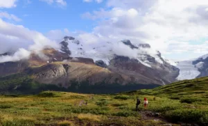 Athabasca Glacier from the Wilcox Trail