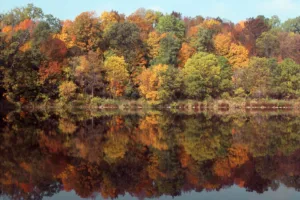 Autumn on the Grand River at Paris, Ontario