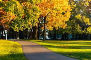 Autumn Path in a Toronto Park