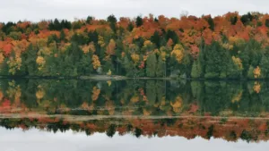Autumn Reflections on an Algonquin Lake