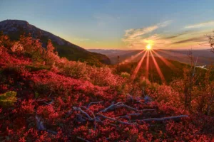Autumn Sunrise in Grands-Jardins National Park