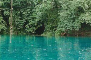 Blue Hole in the Forest, Vanuatu