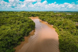 Boat on the Amazon River