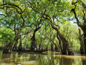 Boat through Ratargul Swamp Forest, Sylhet
