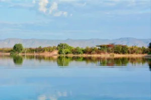 Calm Shore of Lake Kariba