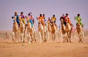 Carrera de camellos en Agadez