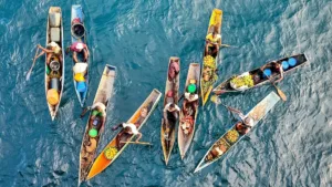 Canoes Loaded with Fruit, Nacala