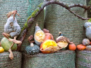 Carved Pumpkins on Hay Bales, Ludwigsburg
