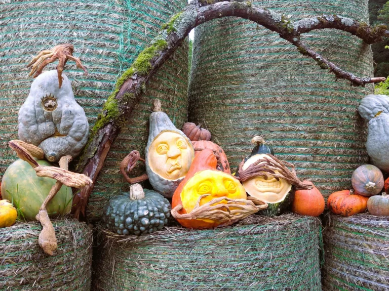 Carved Pumpkins on Hay Bales, Ludwigsburg