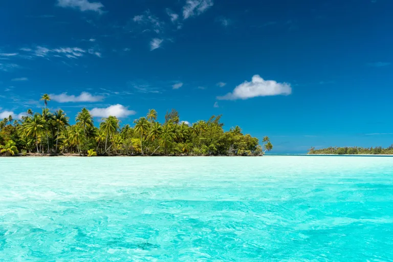 Cocoteros en Huahine