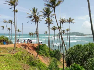Coconut Tree Hill, Mirissa