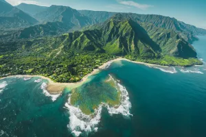 Coral Reef along the Green Coast, Kauaʻi