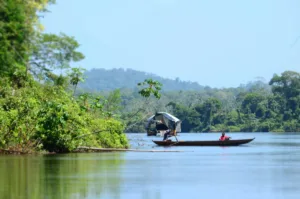 Canoa en el alto río Surinam