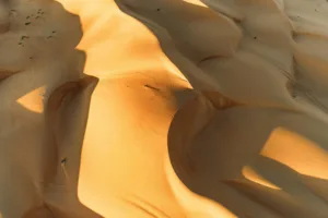 Dunes of the Wahiba Sands