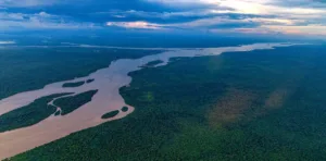 Essequibo River from the Air