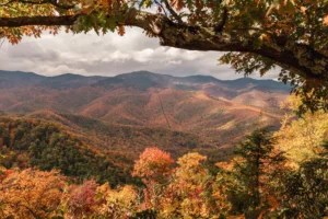 Colores de otoño en las crestas de las Montañas Humeantes