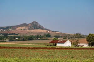 Campos y montañas cerca de Manzini