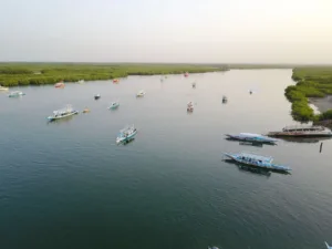 Fishing Boats on the River Gambia
