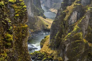 Fjaðrárgljúfur Canyon, Iceland