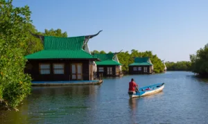 Floating Lodges on a Gambian Creek
