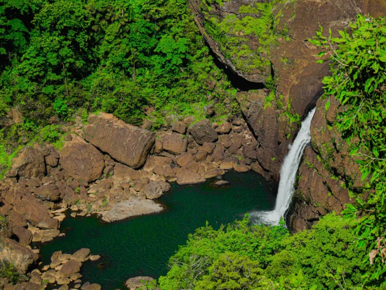 Forest Waterfall near Sogeri