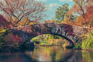 Gapstow Bridge in Autumn, Central Park